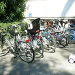 Apartahotel Palm 3*
