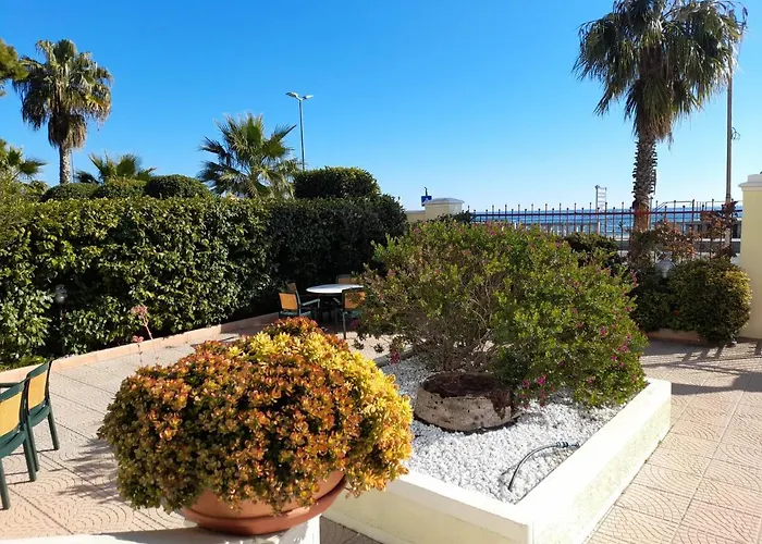 Palm