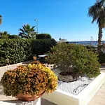 Palm